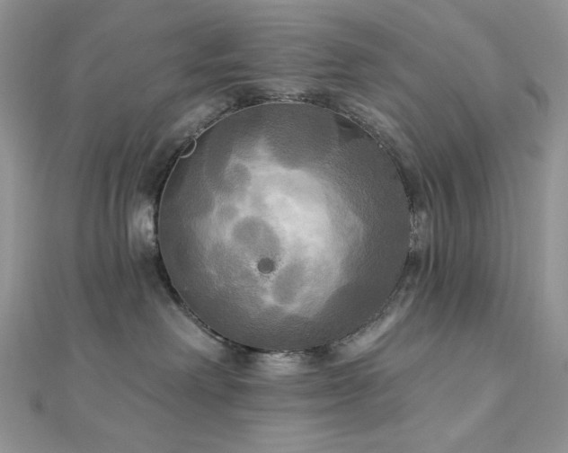 X0000112820238200908211212