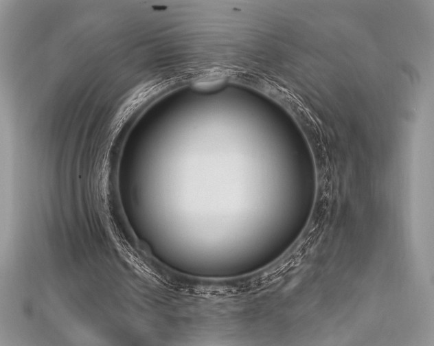 X0000112820242200908211212
