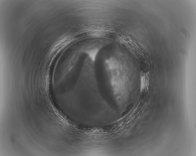 X0000112820243200908211212