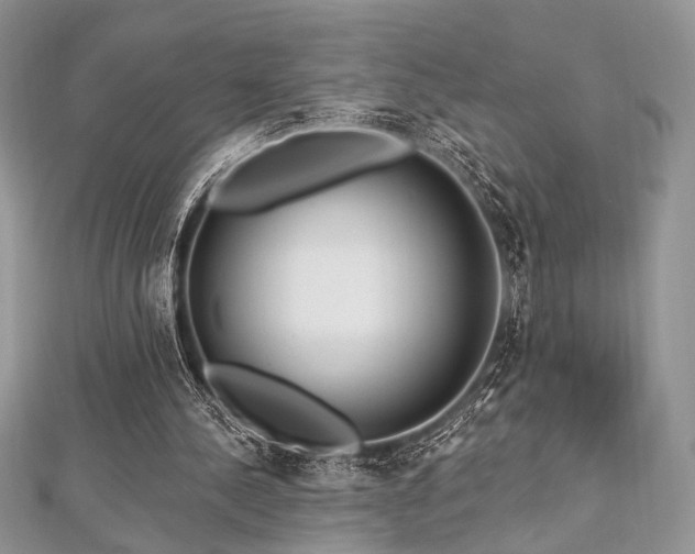 X0000112820244200908211212