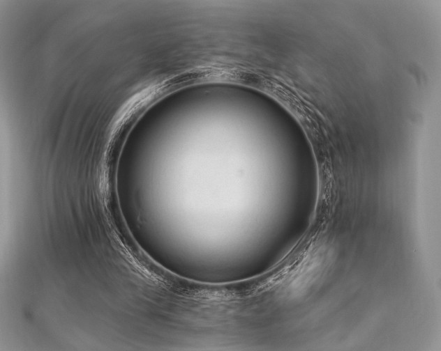 X0000112820245200908211212