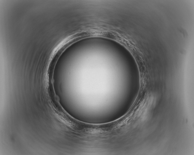 X0000112820246200908211212