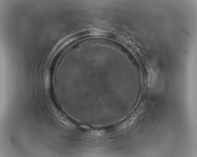 X0000112820247200908211212
