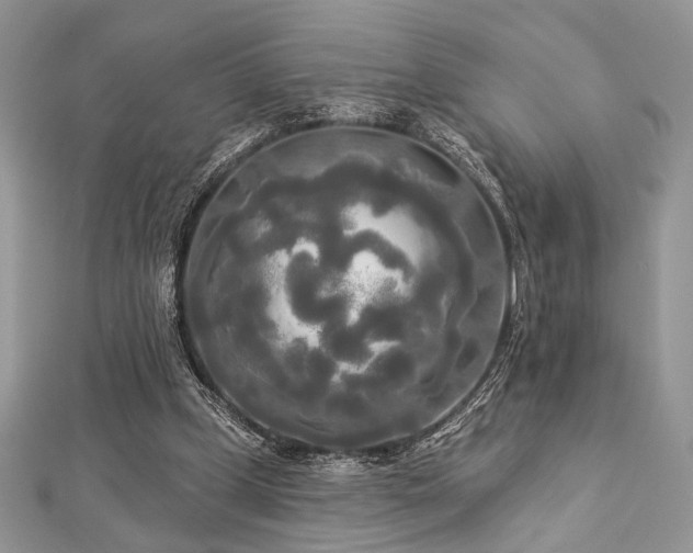 X0000112820249200908211212