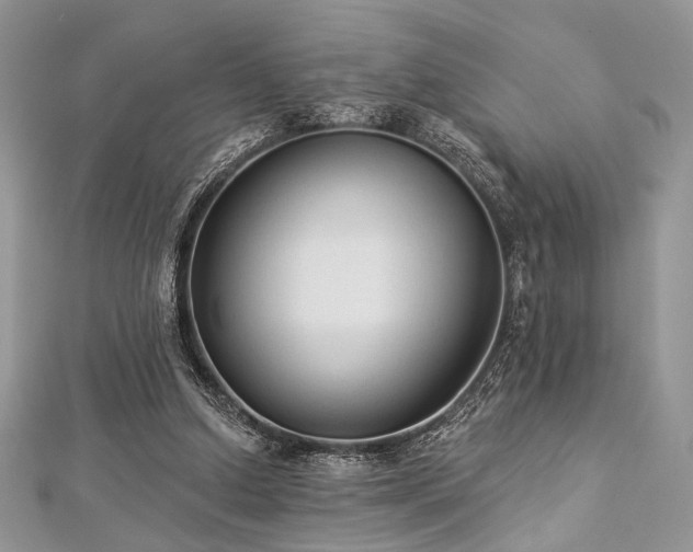 X0000112820250200908211212