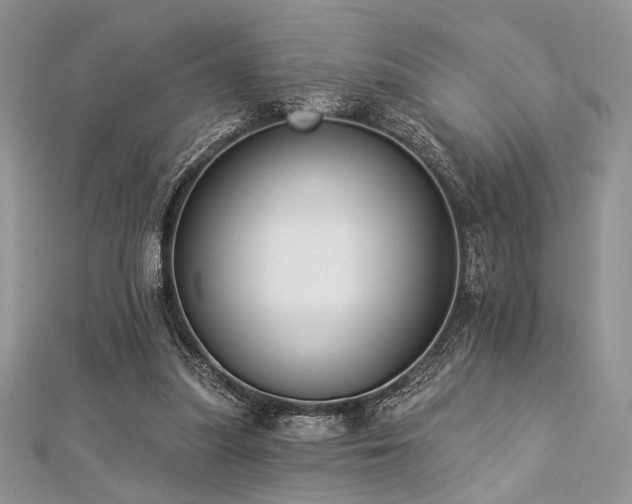 X0000112820251200908211212