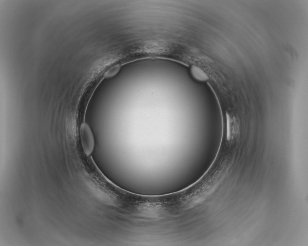 X0000112820252200908211212