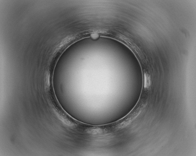 X0000112820253200908211212