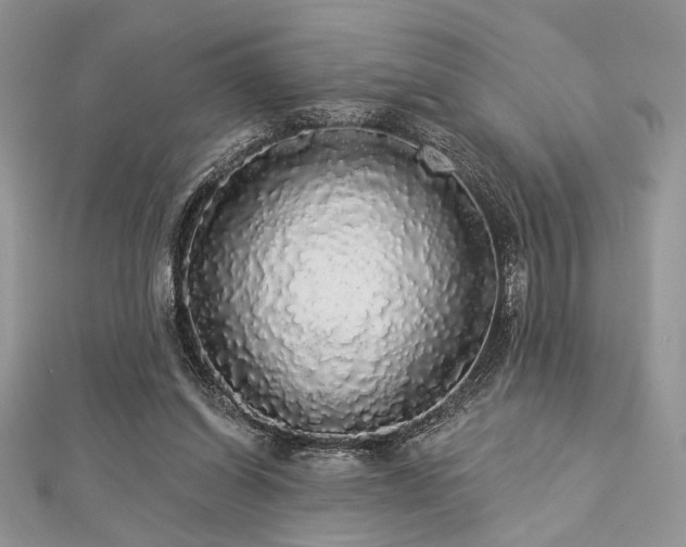 X0000112820254200908211212