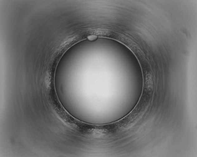 X0000112820255200908211212