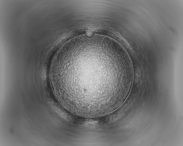 X0000112820257200908211212