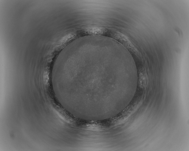 X0000112820259200908211212