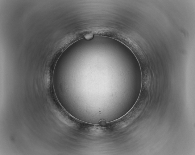 X0000112820261200908211212