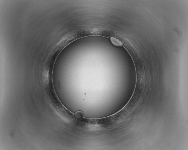 X0000112820262200908211212