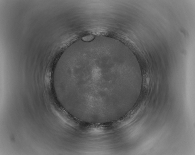 X0000112820263200908211212