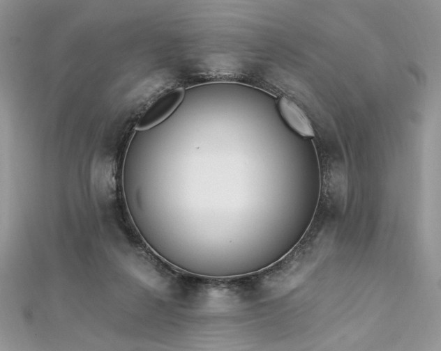 X0000112820264200908211212