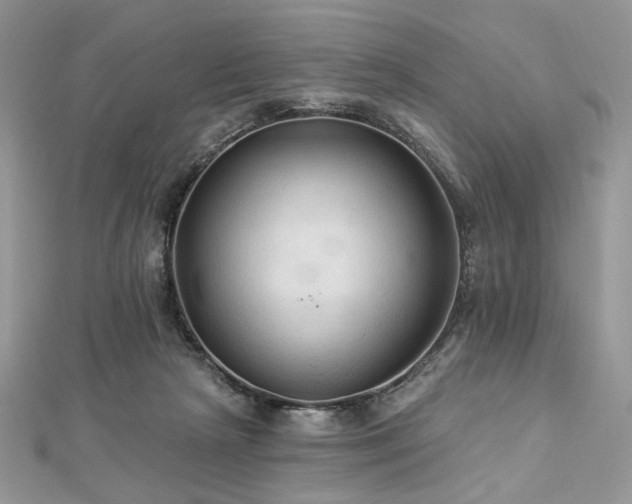 X0000112820265200908211212
