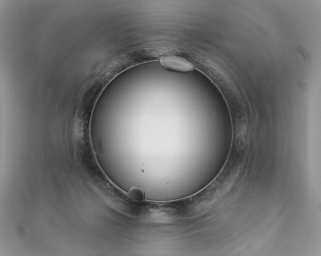 X0000112820268200908211212