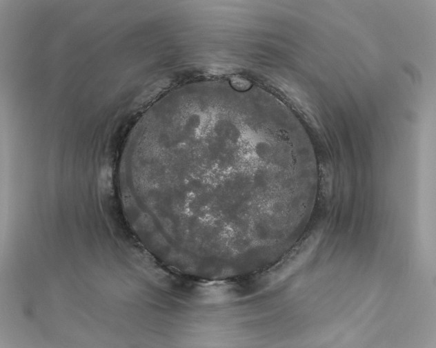 X0000112820269200908211212