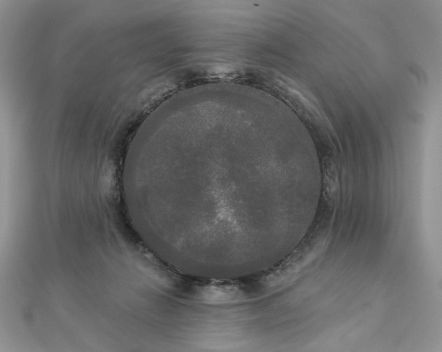 X0000112820270200908211212
