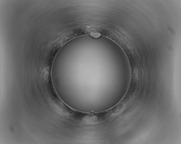 X0000112820271200908211212