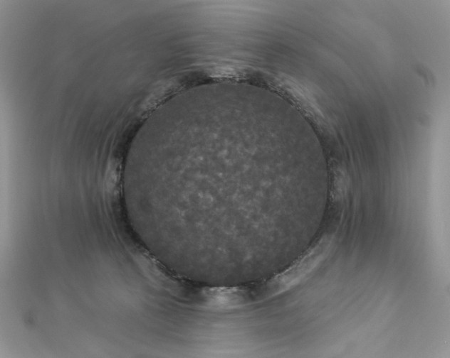 X0000112820273200908211212