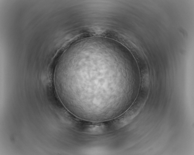 X0000112820274200908211212