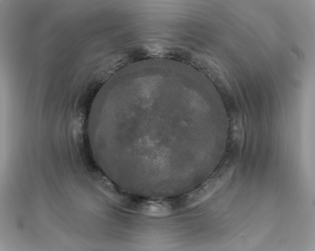 X0000112820275200908211212