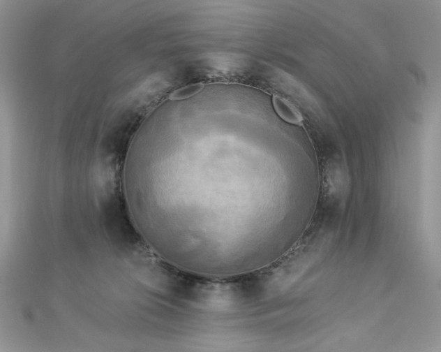 X0000112820276200908211212