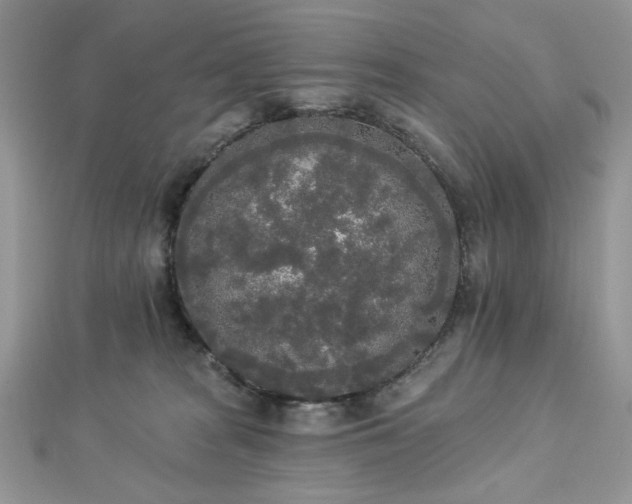 X0000112820277200908211212