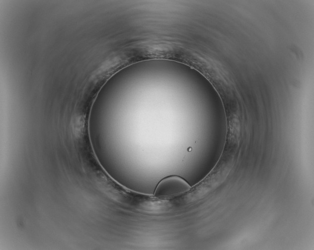 X0000112820278200908211212