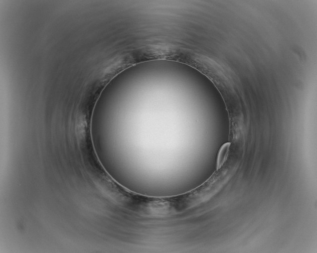 X0000112820279200908211212