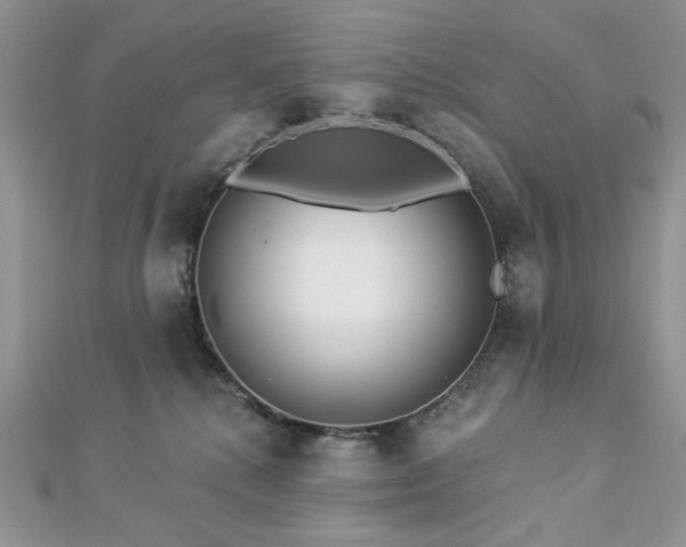X0000112820280200908211212