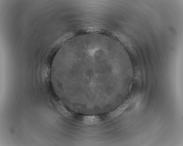 X0000112820281200908211212