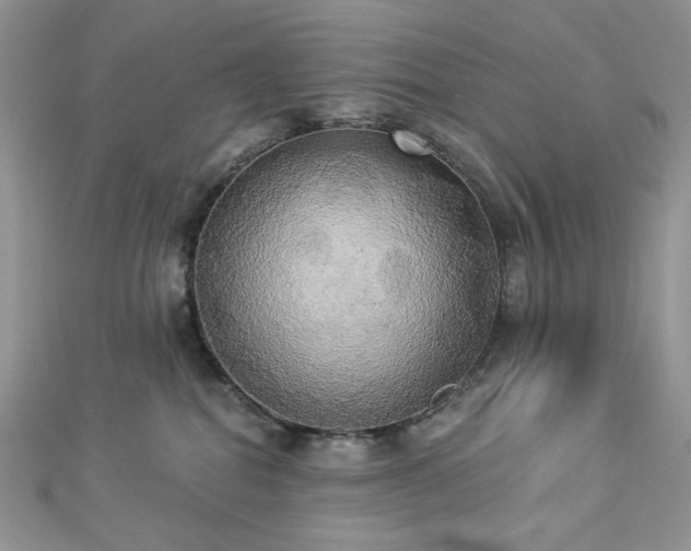 X0000112820282200908211212