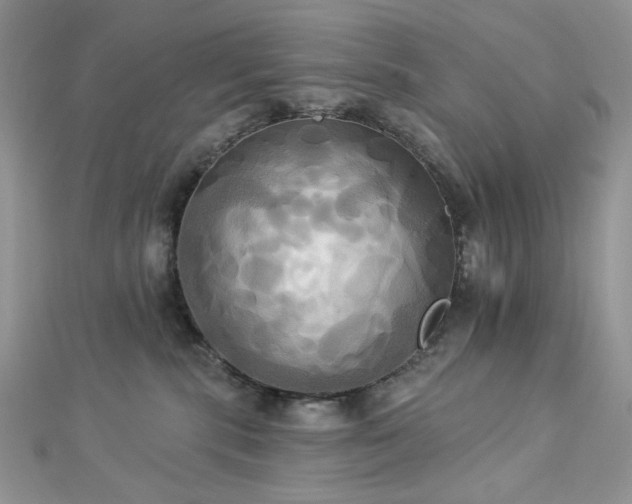 X0000112820283200908211212