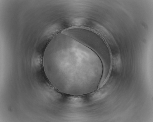 X0000112820284200908211212