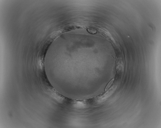 X0000112820285200908211212