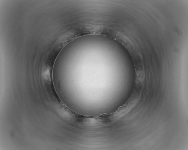 X0000112820286200908211212