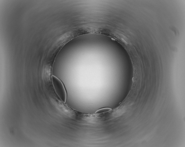 X0000112820288200908211212