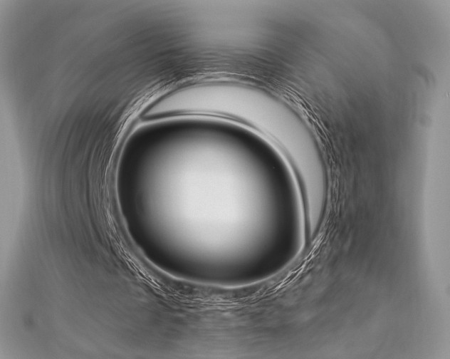 X0000112820289200908211212