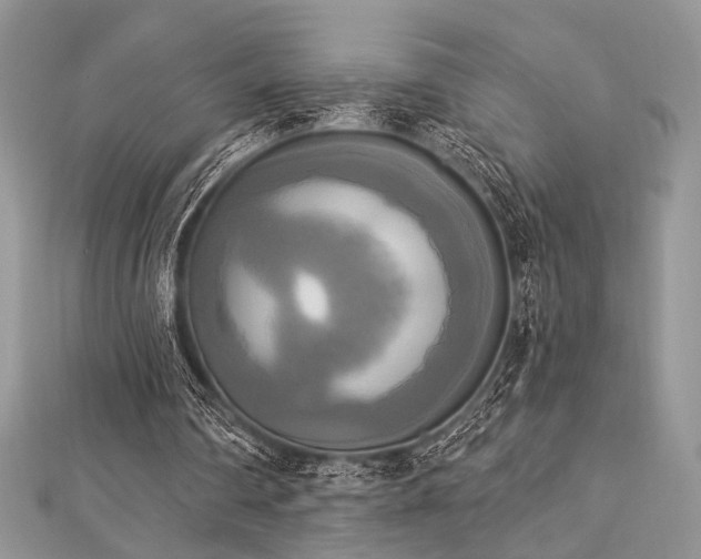 X0000112820290200908211212