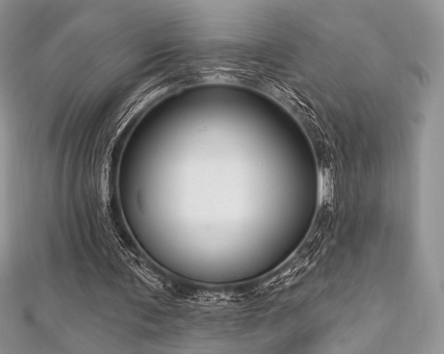 X0000112820291200908211212
