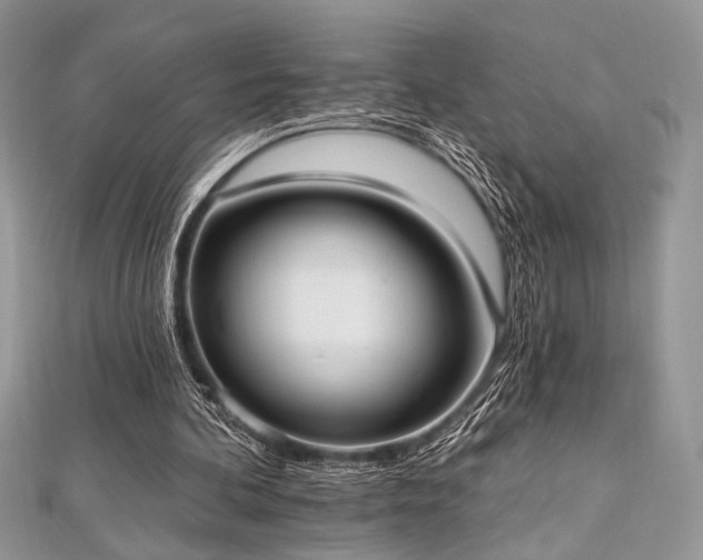 X0000112820292200908211212