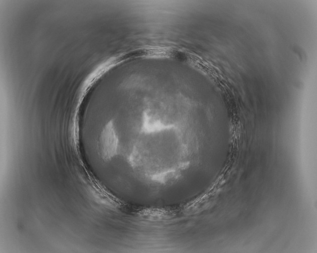 X0000112820294200908211212