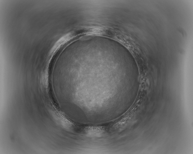 X0000112820296200908211212