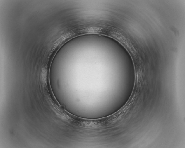X0000112820297200908211212
