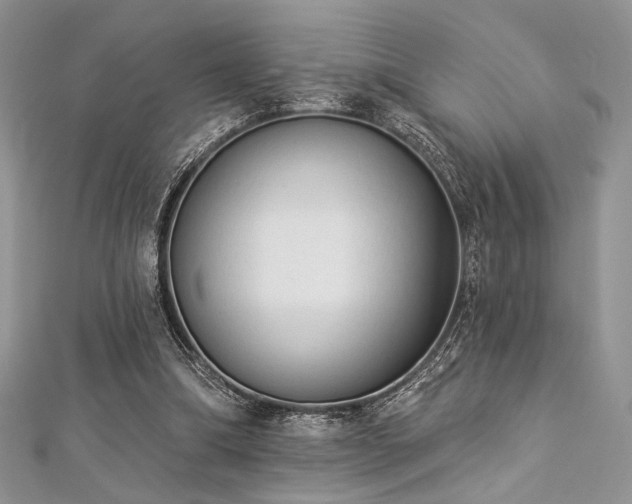 X0000112820298200908211212