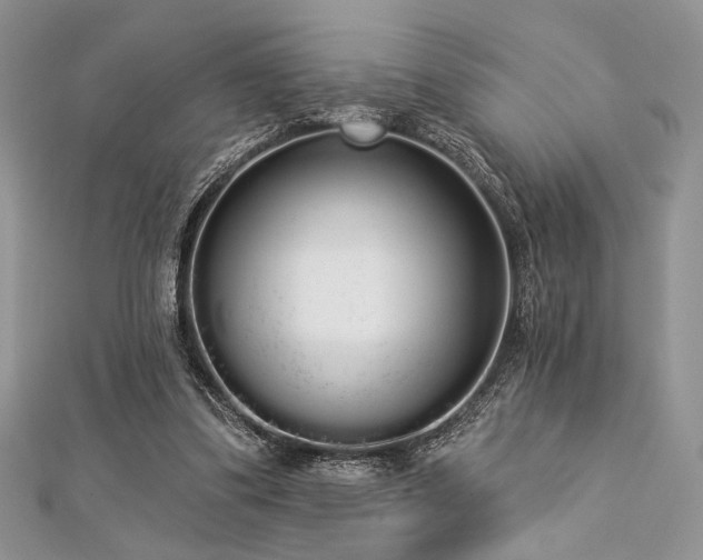 X0000112820299200908211211