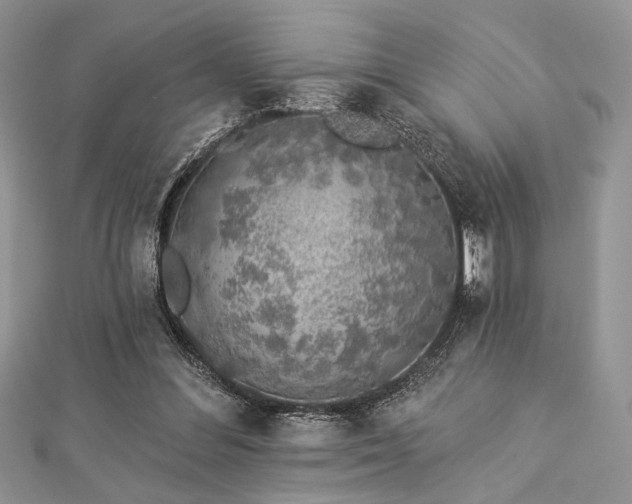 X0000112820300200908211211